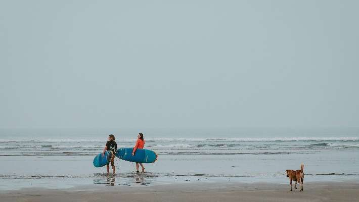 <p>Additional services</p>